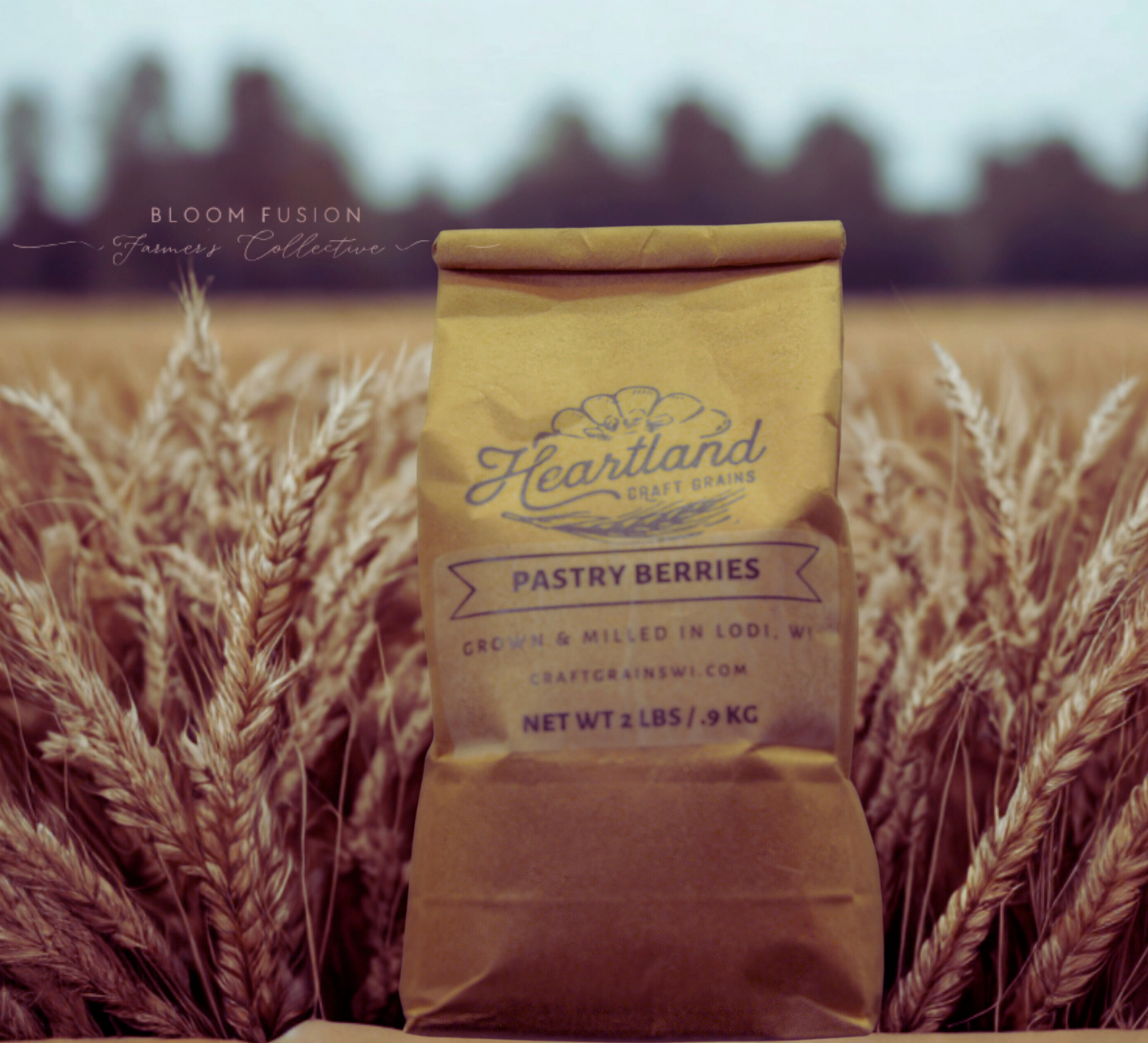 Wheat Berries